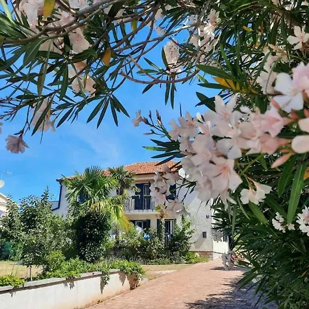 Palm House Apartmán *