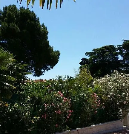 Apartmán Palm House