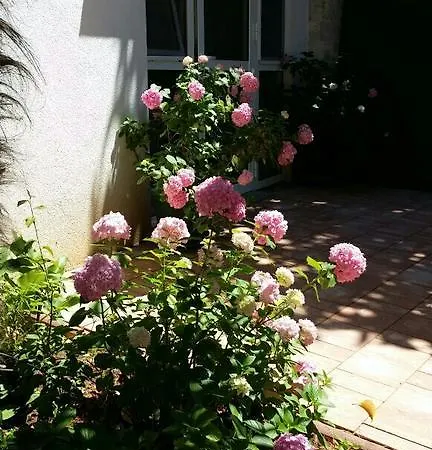 Apartmán Palm House Rovinj