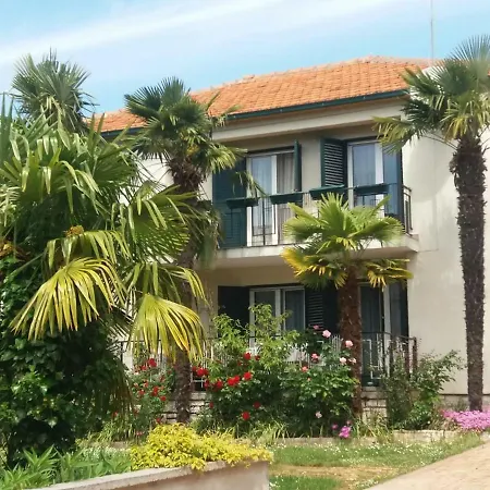 Palm House Rovinj